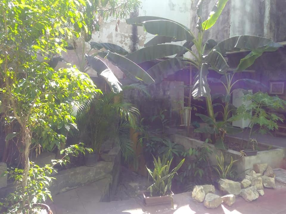 Fusion Guesthouse Salvador Exterior photo
